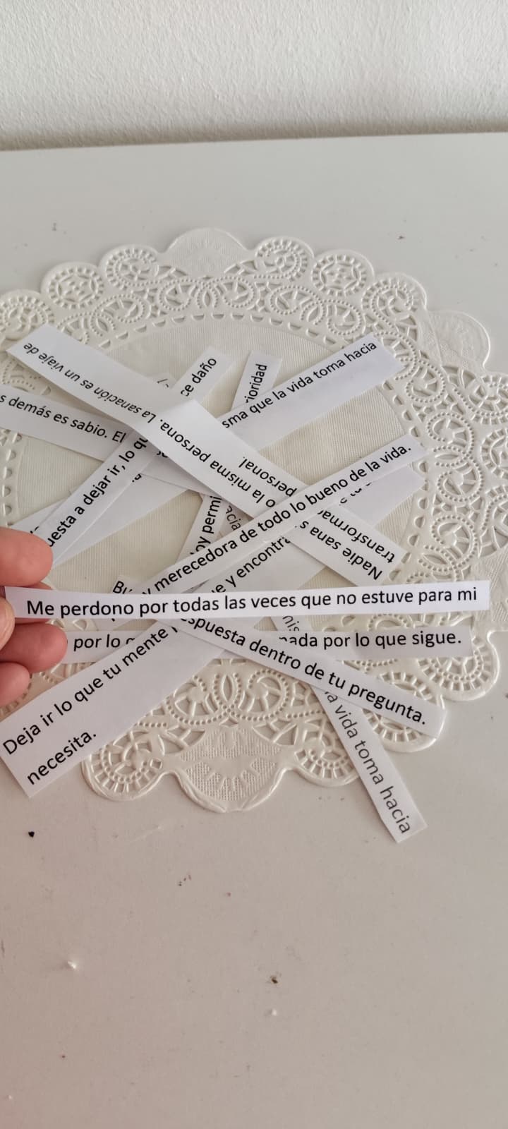 Vela de Soja Boll Media Suculenta